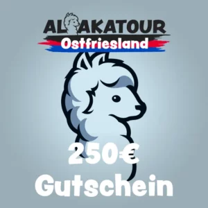 Geschenkgutschein über 250€