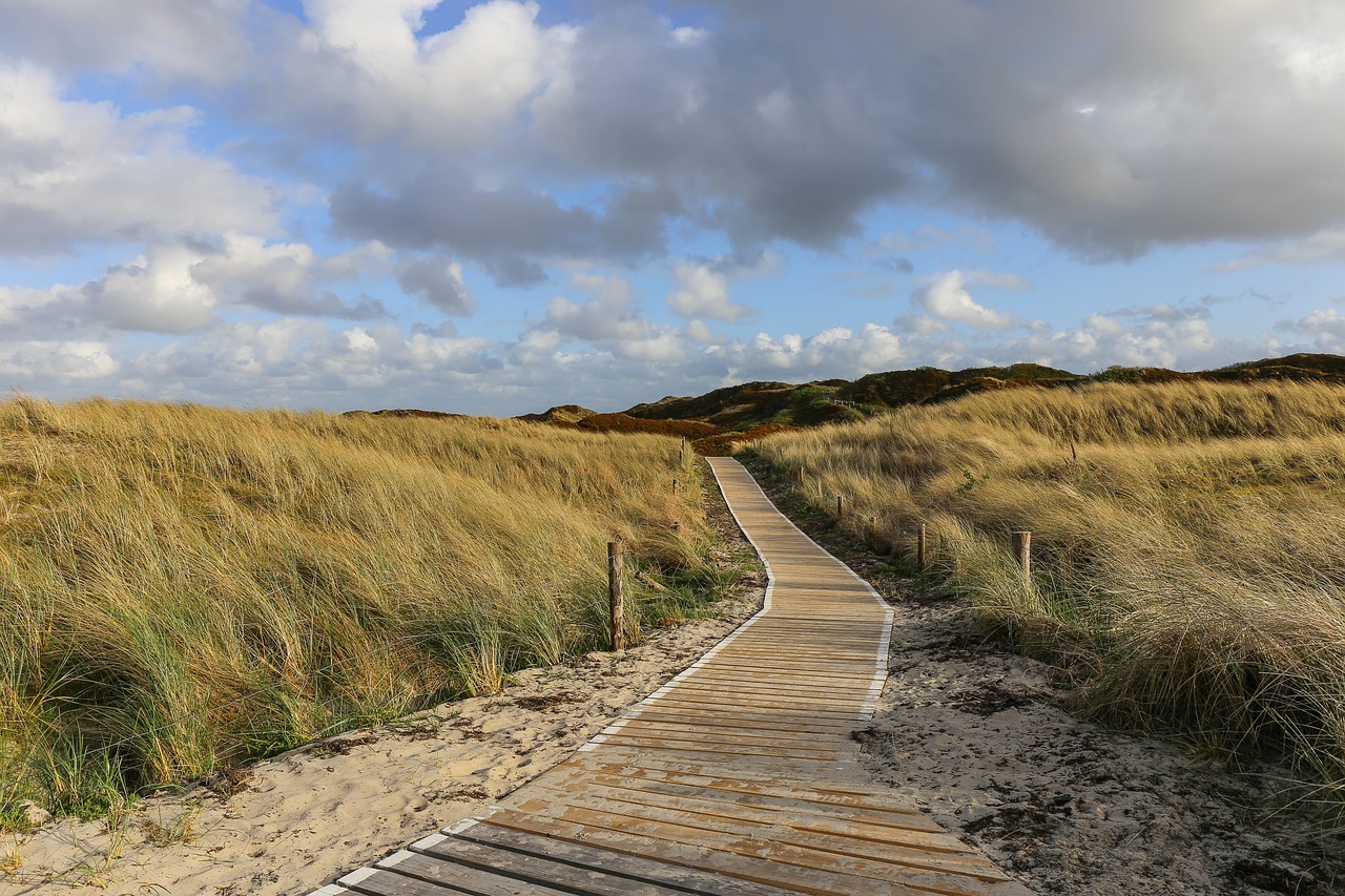 Symbolbild: Alpakatour Ostfriesland